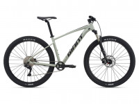 Велосипед Giant Talon 29 1 Desert Sage (2021) 