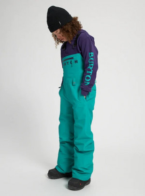 Брюки Burton GORE-TEX Stark Bib Dynasty Green (2021) 