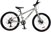 Велосипед Nameless MTB серебристый/черный рама: 12.5" (2024)