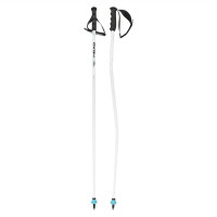 Палки горнолыжные Head Worldcup SG bent white/black/speed blue (381055)