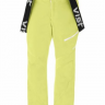 Горнолыжные штаны Vist LIVIO U3030AA INS.SKI PANTS S. Lime AAAAAA (2022) - Горнолыжные штаны Vist LIVIO U3030AA INS.SKI PANTS S. Lime AAAAAA (2022)