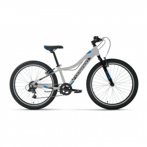 Велосипед Forward Twister 24 1.0 серебристый/синий рама: 12&quot; (2023) 