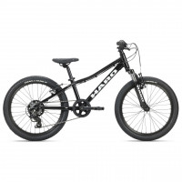 Велосипед Haro Flightline 20" black (2025)