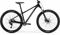 Велосипед Merida Big.Trail 200 29" GlossyBlack/MattCoolGrey рама: L (17") (2022)