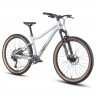 Велосипед Hagen Teen Pro Air 26" алюминий матовый рама: XS (15") (алюм., 9 ск, диск.торм) - Велосипед Hagen Teen Pro Air 26" алюминий матовый рама: XS (15") (алюм., 9 ск, диск.торм)