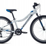 Велосипед Forward Twister 24 1.0 серебристый/синий (2021) - Велосипед Forward Twister 24 1.0 серебристый/синий (2021)