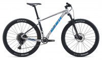 Велосипед Giant Fathom 29 2 Silver (2020)