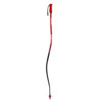 Палки Vola Alpine DH Alum