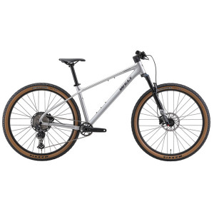 Велосипед Welt Rambler 2.0 29" Platinum Silver рама: S (2027) 