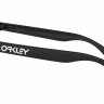 Очки Oakley Frogskins Matte Black/Black Iridium Polarized - Очки Oakley Frogskins Matte Black/Black Iridium Polarized