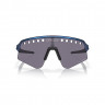 Очки Oakley Sutro Lite Sweep prizm grey/troy lee designs blue colorshift - Очки Oakley Sutro Lite Sweep prizm grey/troy lee designs blue colorshift