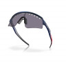 Очки Oakley Sutro Lite Sweep prizm grey/troy lee designs blue colorshift - Очки Oakley Sutro Lite Sweep prizm grey/troy lee designs blue colorshift