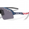 Очки Oakley Sutro Lite Sweep prizm grey/troy lee designs blue colorshift - Очки Oakley Sutro Lite Sweep prizm grey/troy lee designs blue colorshift