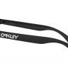 Очки Oakley Frogskins Matte Black/Violet Iridium - Очки Oakley Frogskins Matte Black/Violet Iridium