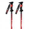 Палки горнолыжные Vola Alpine SL Alum SR - Палки горнолыжные Vola Alpine SL Alum SR
