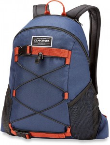 Dakine wonder cheap paulina