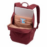 Рюкзак городской Thule Notus Backpack 20L New Maroon - Рюкзак городской Thule Notus Backpack 20L New Maroon