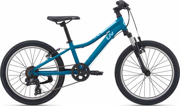 Giant arx outlet 20 blue